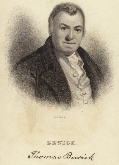 Thomas Bewick de English School