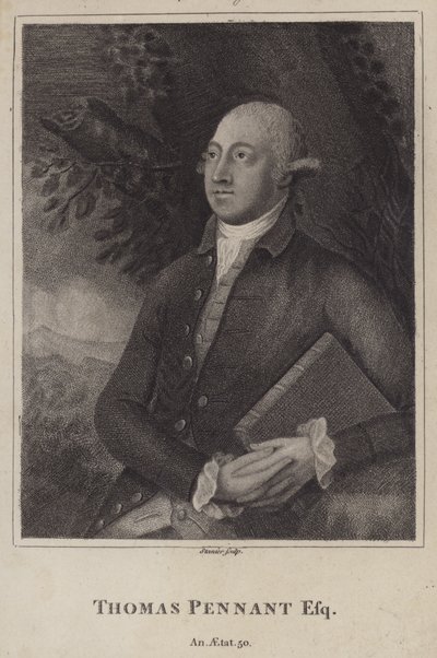 Thomas Pennant, naturalista y topógrafo galés (grabado) de English School