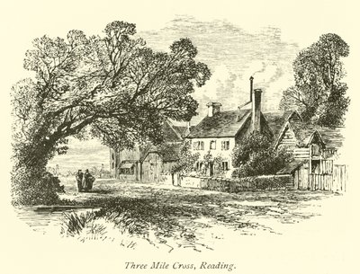 Three Mile Cross, Reading de English School