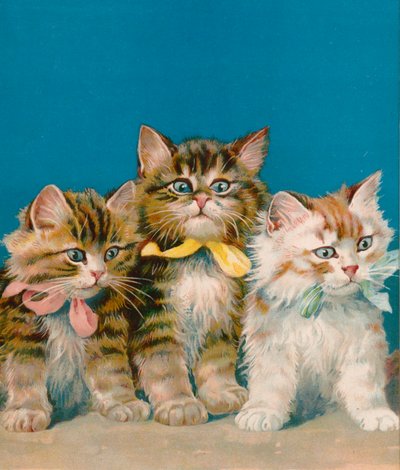 Tres pequeños gatitos de English School