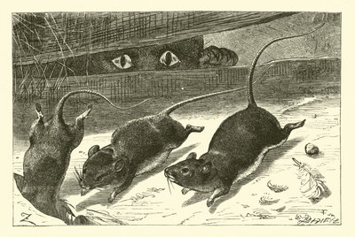Tres pequeños ratones de English School