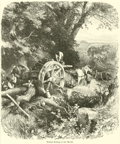 Corte de madera en el bosque de English School