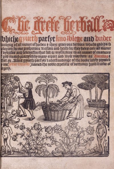 Página de título ilustrando una escena de jardín con figuras, 1529 de English School
