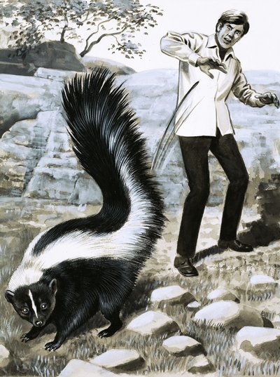 Diente y garra: El zorrillo de English School