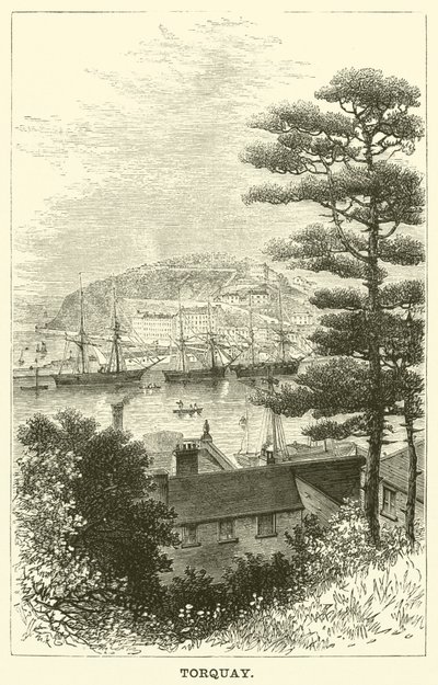 Torquay de English School