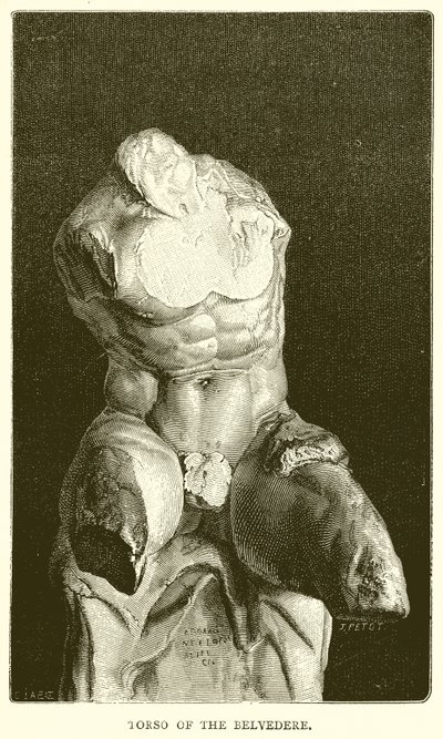 Torso del Belvedere de English School