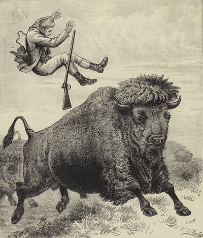 Arrojado por un toro de la pradera de English School