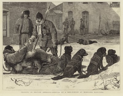 Comercio en la América Británica - Llegada de un trineo de perros a Winnipeg, Manitoba de English School