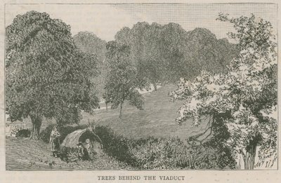 Árboles detrás del viaducto de English School