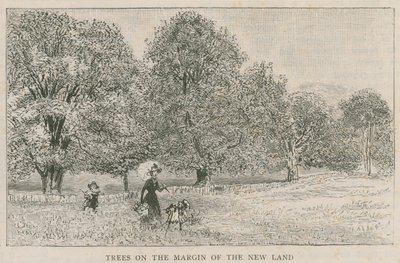 Árboles en el margen de la nueva tierra de English School