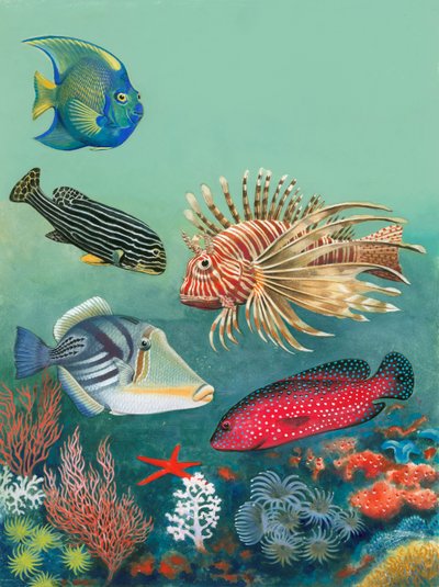 Peces tropicales de English School