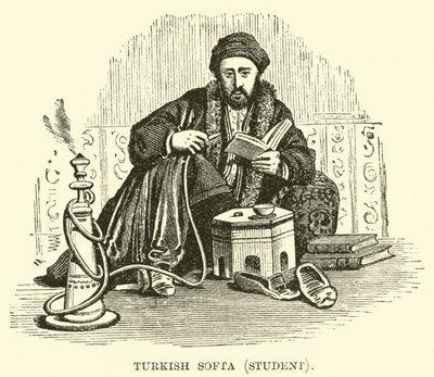 Softa turco, estudiante de English School