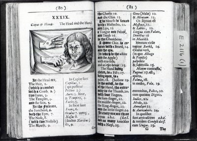 Dos páginas de Orbis Sensualium Pictus por Comenius, 1659 de English School