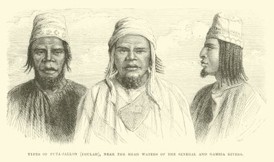 Tipos de Futa-Jallon, Foulah, cerca de las cabeceras de los ríos Senegal y Gambia de English School