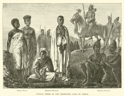 Tribus típicas de la costa noroeste de África de English School