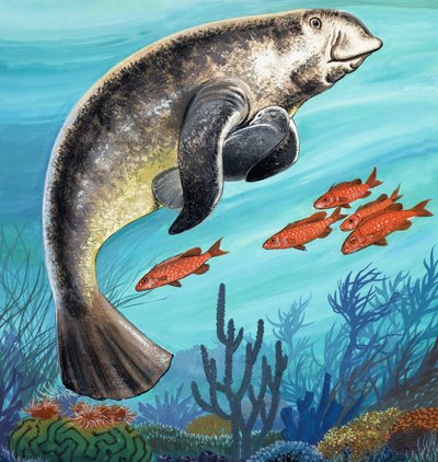 Criaturas submarinas de English School