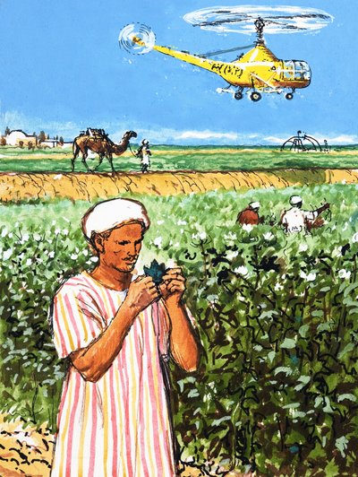 Agricultor árabe no identificado con camello y helicóptero en el fondo de English School