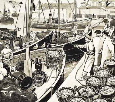 Puerto pesquero no identificado con peces en el muelle de English School