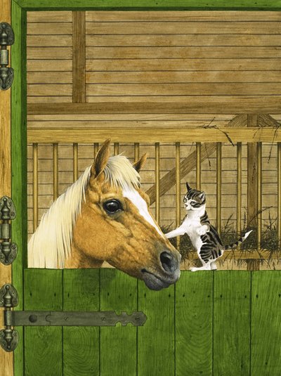 Caballo no identificado y gatito juguetón de English School