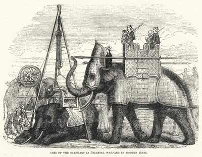 Usos del elefante en la guerra oriental en tiempos modernos (grabado) de English School
