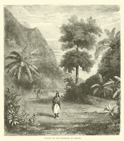 Valle en el interior de Tahití de English School
