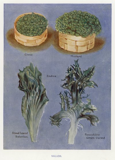 Guía del cultivador de vegetales: Ensaladas de English School