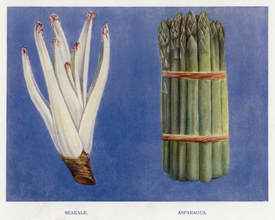 Guía del Cultivador de Vegetales: Col Rizada, Espárragos de English School