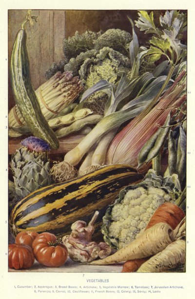 Verduras de English School