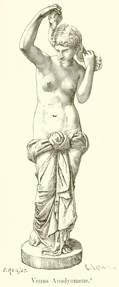 Venus Anadiomena de English School