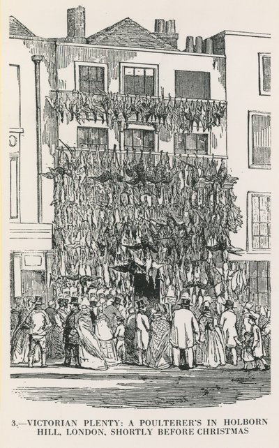 Abundancia victoriana de English School