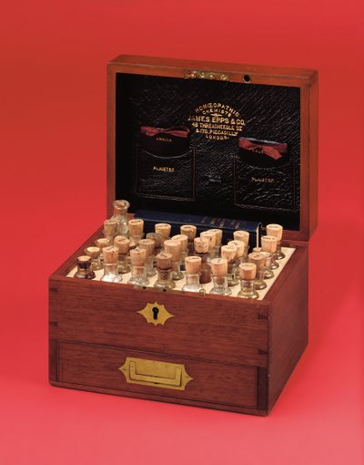 Botiquín homeopático victoriano producido por James Epps & Co., mediados del siglo XIX de English School