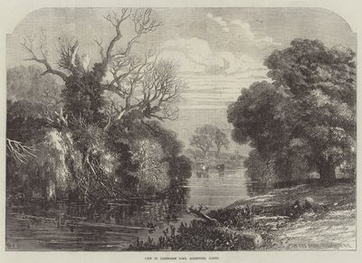 Vista en Tichborne Park, Alresford, Hants (grabado) de English School