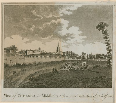 Vista de Chelsea en Middlesex tomada cerca del cementerio de la iglesia de Battersea de English School