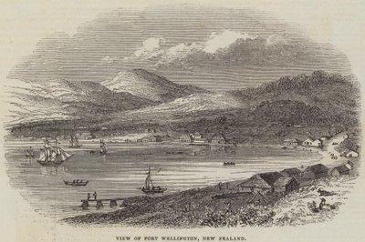 Vista de Port Wellington, Nueva Zelanda (grabado) de English School