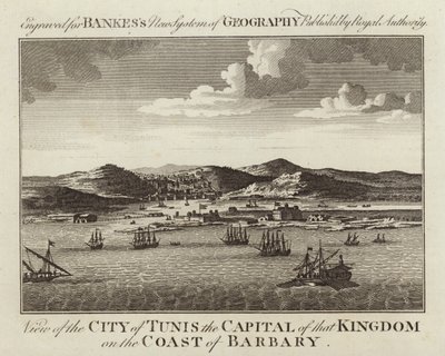 Vista de la ciudad de Túnez de English School