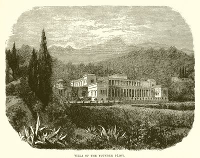 Villa del joven Plinio de English School