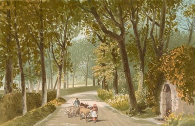 Vinchelez Lane--Jersey de English School