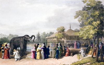 Visitantes del zoo de Londres, Regent