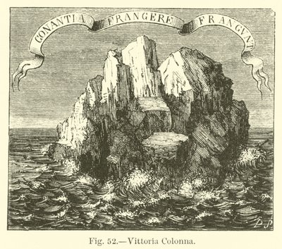 Vittoria Colonna de English School