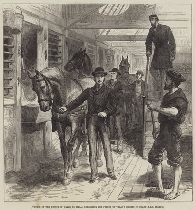 Viaje del Príncipe de Gales a la India, ejercitando los caballos del Príncipe de Gales a bordo del HMS Serapis (grabado) de English School