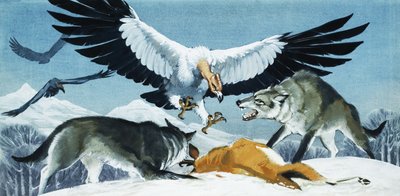 Buitre y lobos de English School