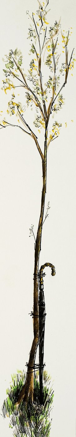Bastón con árbol de English School