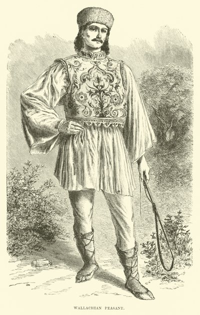 Campesino valaco de English School