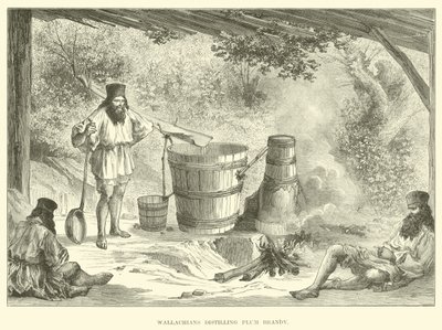 Valacos destilando aguardiente de ciruela de English School