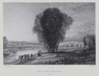 Puente Walton, Surrey de English School
