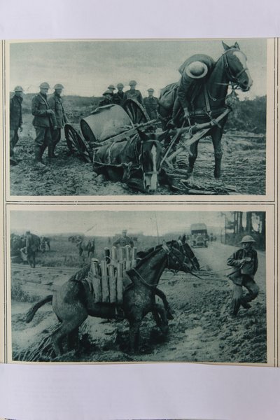 Caballos de guerra hundiéndose en el barro, norte de Francia, agosto de 1917 de English School