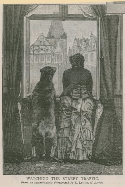 Observando el tráfico de la calle de English School