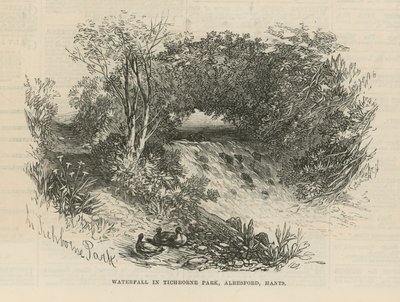 Cascada en el parque Tichborne de English School