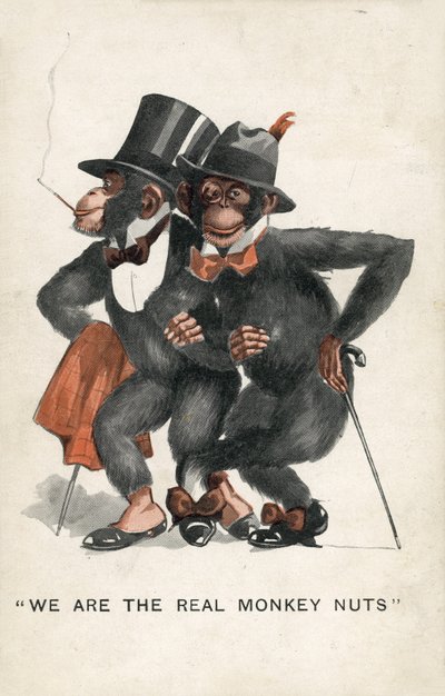 Somos los verdaderos Monkey Nuts de English School