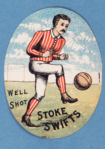 Bien Disparado Stoke Swifts de English School
